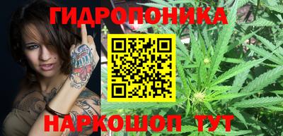 гидра Будённовск