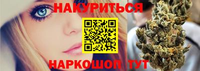 гидра Будённовск