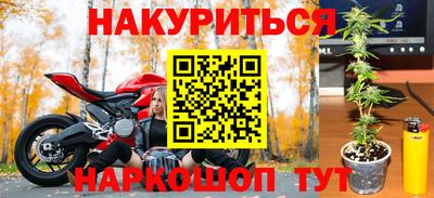 гидра Будённовск