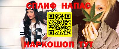 гидра Будённовск
