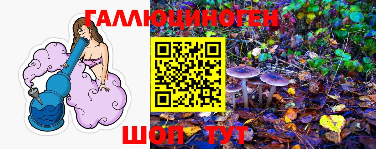 Галлюциногенные грибы ЛСД Красноярск