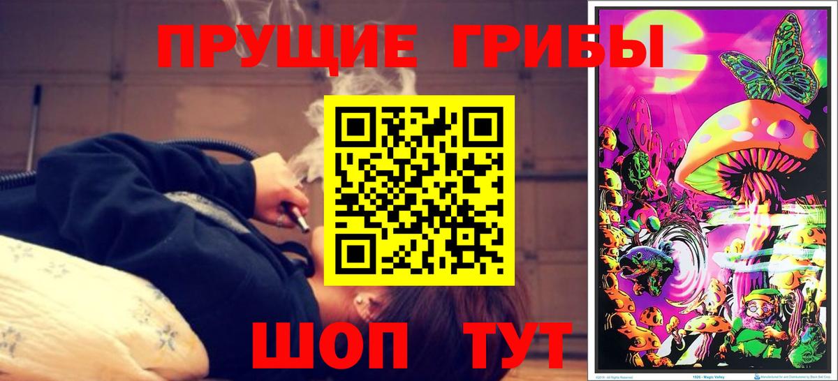 Галлюциногенные грибы Psilocybine cubensis  Вход с VPN  Красноярск 